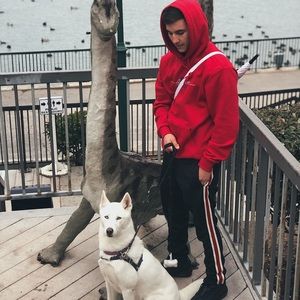 Meet your Posher, Louie